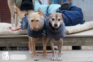 Hutamix-25-01-w13-079