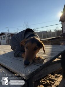 Hutamix-25-01-w13-085