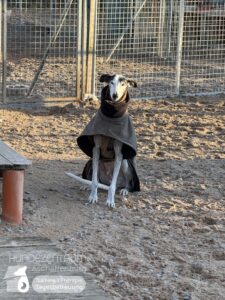 Hutamix-25-01-w13-086