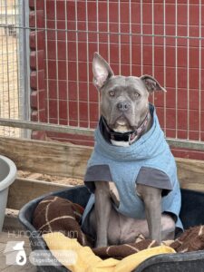 Hutamix-25-01-w13-087