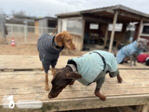 Hutamix-25-01-w13-088