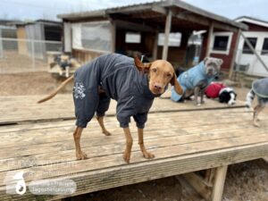 Hutamix-25-01-w13-089