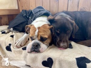 Hutamix-25-01-w13-092