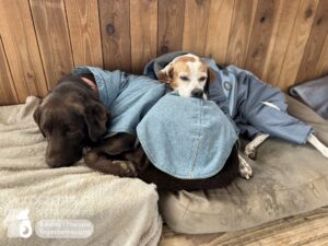 Hutamix-25-01-w13-093