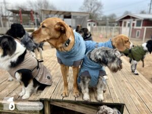 Hutamix-25-01-w13-094