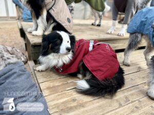 Hutamix-25-01-w13-097