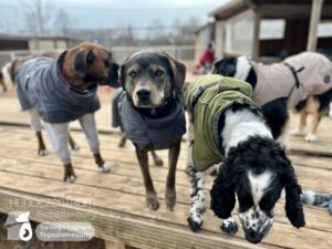 Hutamix-25-01-w13-100