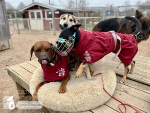 Hutamix-25-01-w20-002