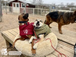 Hutamix-25-01-w20-003