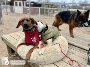 Hutamix-25-01-w20-004