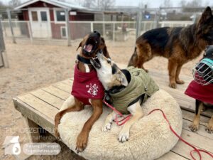 Hutamix-25-01-w20-005