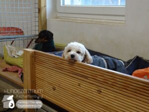 Hutamix-25-01-w27-002