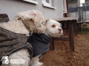 Hutamix-25-01-w27-004