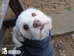 Hutamix-25-01-w27-005