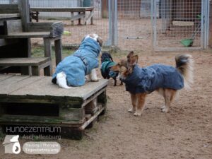 Hutamix-25-01-w27-006