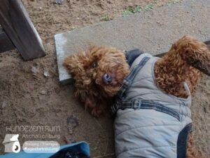 Hutamix-25-01-w27-007