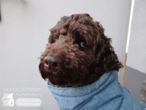 Hutamix-25-01-w27-008