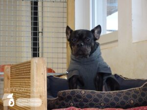 Hutamix-25-01-w27-010