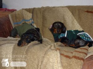 Hutamix-25-01-w27-011