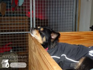 Hutamix-25-01-w27-012