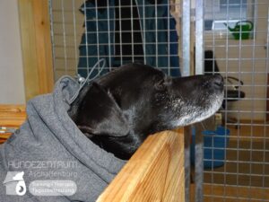 Hutamix-25-01-w27-013