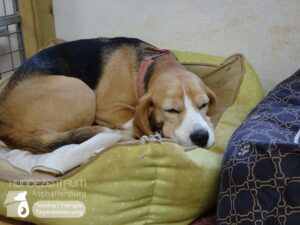 Hutamix-25-01-w27-014