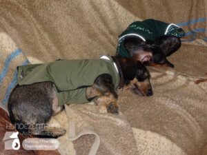 Hutamix-25-01-w27-015