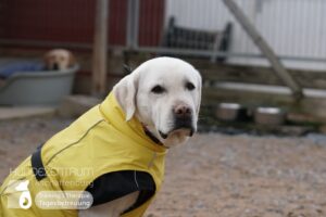 Hutamix-25-01-w27-016