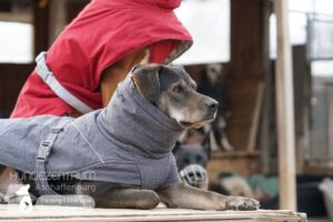 Hutamix-25-01-w27-017