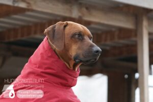 Hutamix-25-01-w27-018