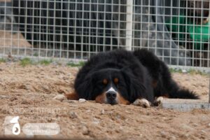 Hutamix-25-01-w27-019