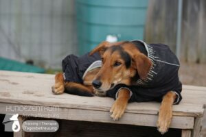 Hutamix-25-01-w27-020