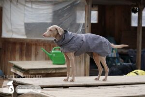 Hutamix-25-01-w27-021