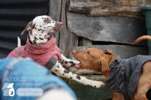 Hutamix-25-01-w27-026