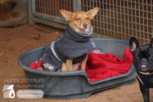 Hutamix-25-01-w27-030