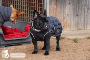 Hutamix-25-01-w27-031