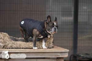 Hutamix-25-01-w27-032