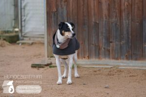 Hutamix-25-01-w27-033