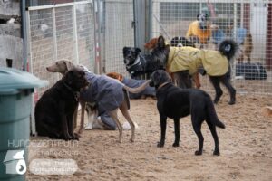 Hutamix-25-01-w27-034