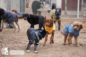 Hutamix-25-01-w27-035