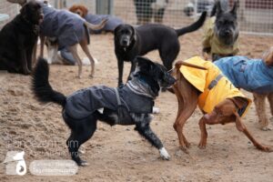 Hutamix-25-01-w27-036