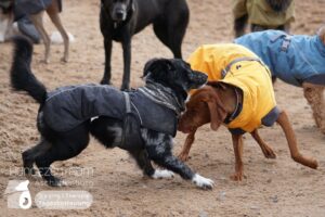 Hutamix-25-01-w27-037