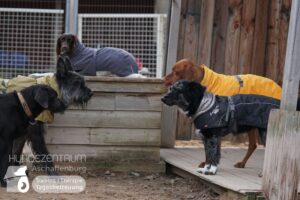 Hutamix-25-01-w27-038