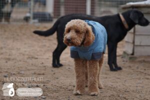 Hutamix-25-01-w27-039