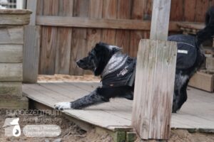 Hutamix-25-01-w27-040