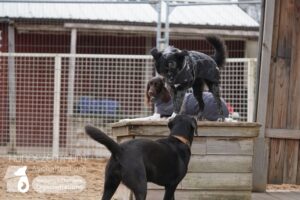 Hutamix-25-01-w27-041