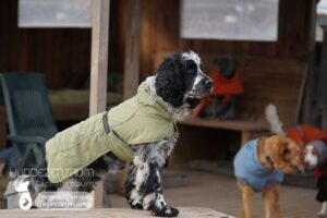 Hutamix-25-01-w27-044