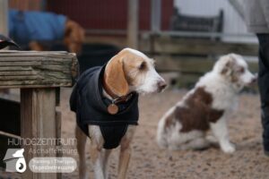 Hutamix-25-01-w27-045