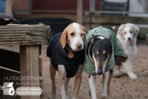 Hutamix-25-01-w27-046