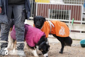 Hutamix-25-01-w27-047